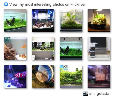 shingotada - View my most interesting photos on Flickriver