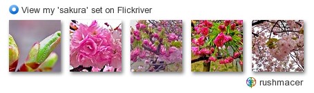 rushmacer - View my 'sakura' set on Flickriver