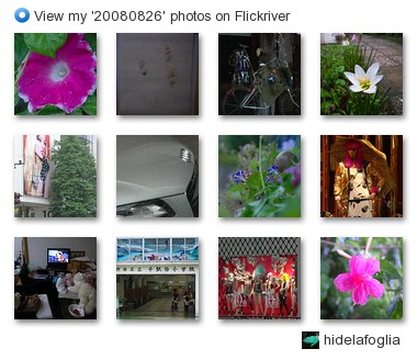 hidelafoglia - View my '20080826' photos on Flickriver