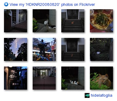 hidelafoglia - View my 'HDKNR20080820' photos on Flickriver