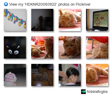 hidelafoglia - View my 'HDKNR20080822' photos on Flickriver