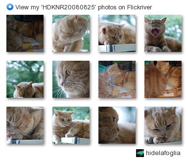 hidelafoglia - View my 'HDKNR20080825' photos on Flickriver
