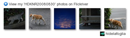 hidelafoglia - View my 'HDKNR20080830' photos on Flickriver