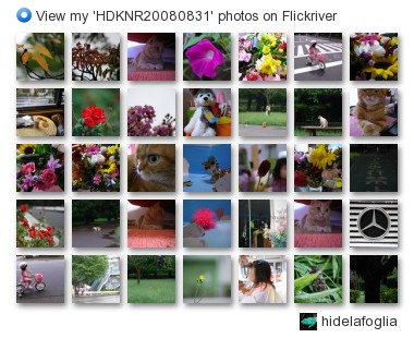 hidelafoglia - View my 'HDKNR20080831' photos on Flickriver