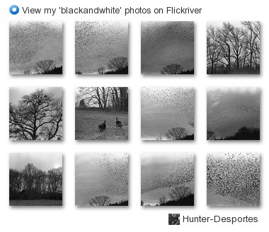 Hunter-Desportes - View my 'blackandwhite' photos on Flickriver