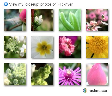 rushmacer - View my 'closeup' photos on Flickriver