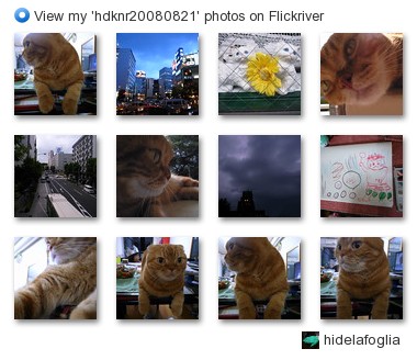 hidelafoglia - View my 'hdknr20080821' photos on Flickriver