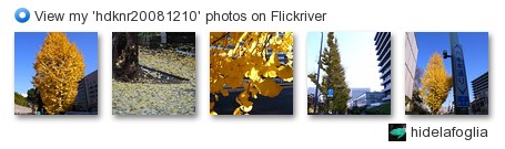 hidelafoglia - View my 'hdknr20081210' photos on Flickriver