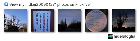 hidelafoglia - View my 'hdknr20090127' photos on Flickriver