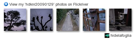 hidelafoglia - View my 'hdknr20090129' photos on Flickriver