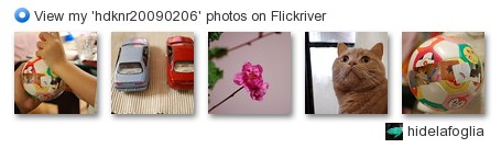 hidelafoglia - View my 'hdknr20090206' photos on Flickriver