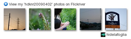 hidelafoglia - View my 'hdknr20090402' photos on Flickriver
