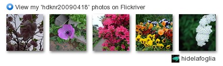 hidelafoglia - View my 'hdknr20090418' photos on Flickriver