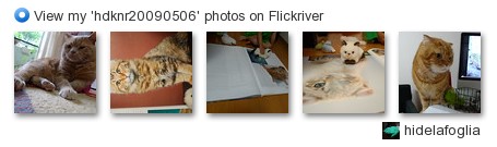 hidelafoglia - View my 'hdknr20090506' photos on Flickriver