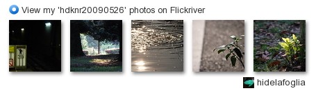 hidelafoglia - View my 'hdknr20090526' photos on Flickriver