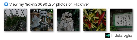 hidelafoglia - View my 'hdknr20090528' photos on Flickriver