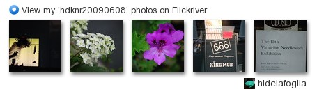 hidelafoglia - View my 'hdknr20090608' photos on Flickriver
