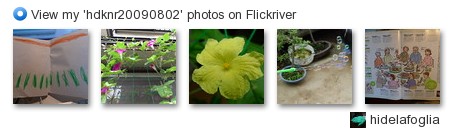 hidelafoglia - View my 'hdknr20090802' photos on Flickriver