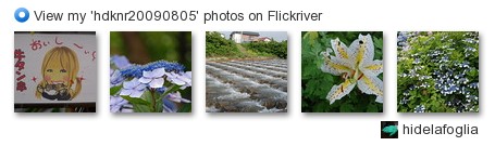 hidelafoglia - View my 'hdknr20090805' photos on Flickriver