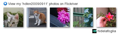 hidelafoglia - View my 'hdknr20090911' photos on Flickriver