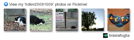 hidelafoglia - View my 'hdknr20091009' photos on Flickriver