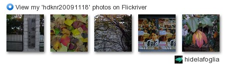 hidelafoglia - View my 'hdknr20091118' photos on Flickriver