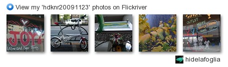 hidelafoglia - View my 'hdknr20091123' photos on Flickriver