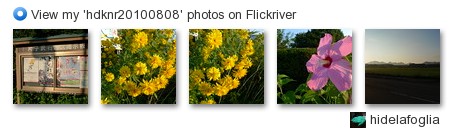 hidelafoglia - View my 'hdknr20100808' photos on Flickriver