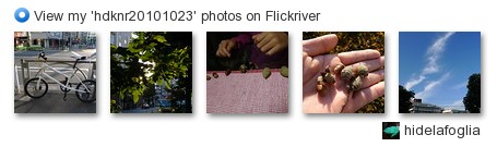 hidelafoglia - View my 'hdknr20101023' photos on Flickriver