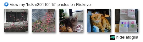 hidelafoglia - View my 'hdknr20110115' photos on Flickriver