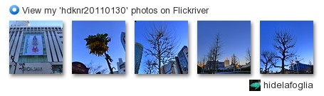 hidelafoglia - View my 'hdknr20110130' photos on Flickriver