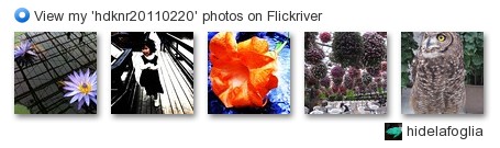 hidelafoglia - View my 'hdknr20110220' photos on Flickriver