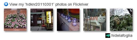 hidelafoglia - View my 'hdknr20110301' photos on Flickriver