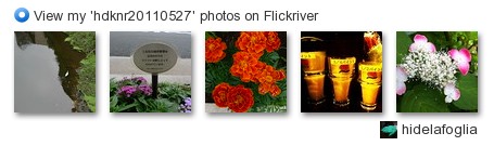 hidelafoglia - View my 'hdknr20110527' photos on Flickriver