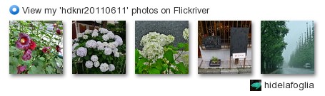 hidelafoglia - View my 'hdknr20110611' photos on Flickriver