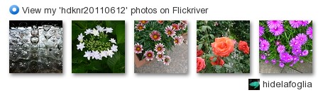 hidelafoglia - View my 'hdknr20110612' photos on Flickriver