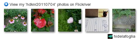 hidelafoglia - View my 'hdknr20110704' photos on Flickriver