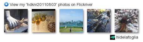 hidelafoglia - View my 'hdknr20110803' photos on Flickriver