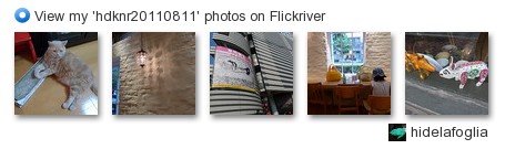hidelafoglia - View my 'hdknr20110811' photos on Flickriver