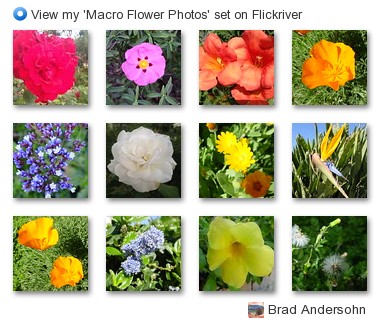 Brad Andersohn - View my 'Macro Photos' set on Flickriver